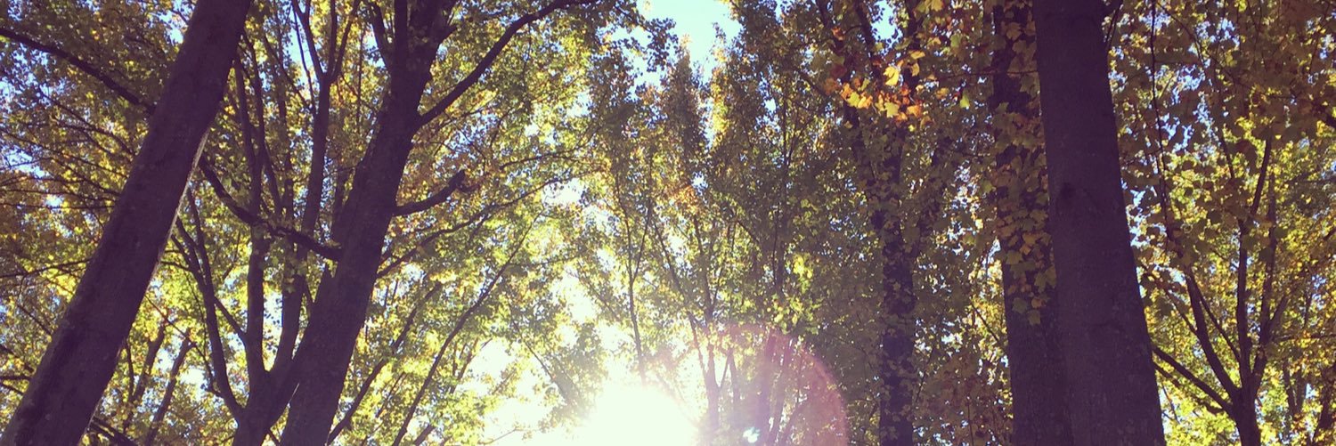 Its_BFord's profile banner image