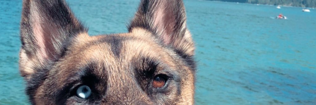 kennkhalifaa's profile banner image