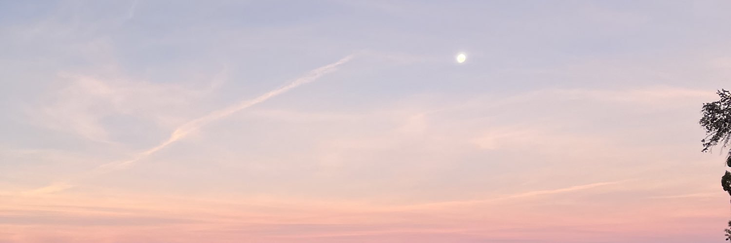 DelfiSolari09's profile banner image