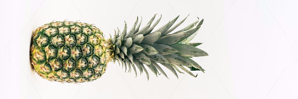LuauJimmy's profile banner image