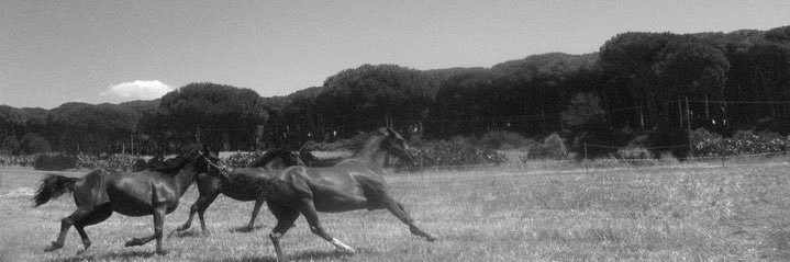 Sultan_TT10's profile banner image