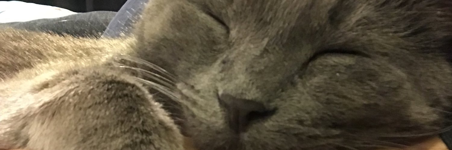 thezosknows's profile banner image