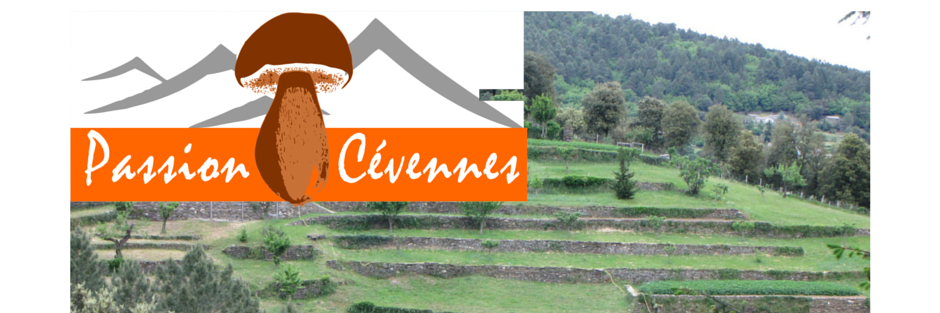 CevennesPassion's profile banner image