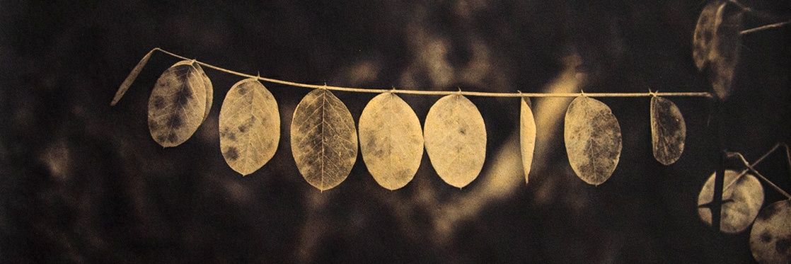 eyelounge's profile banner image