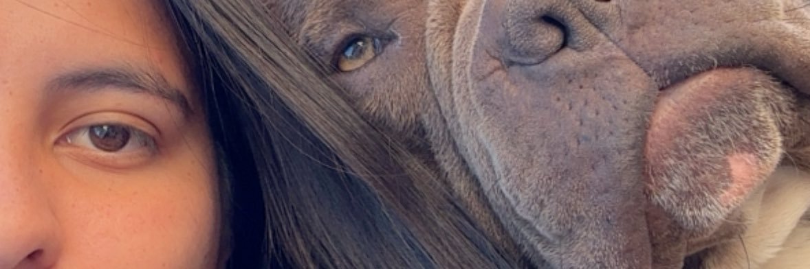 majopalumbo's profile banner image