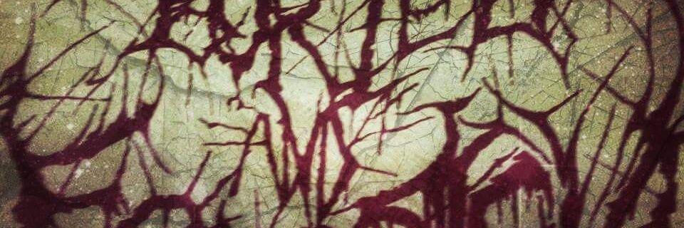EoinSkene's profile banner image
