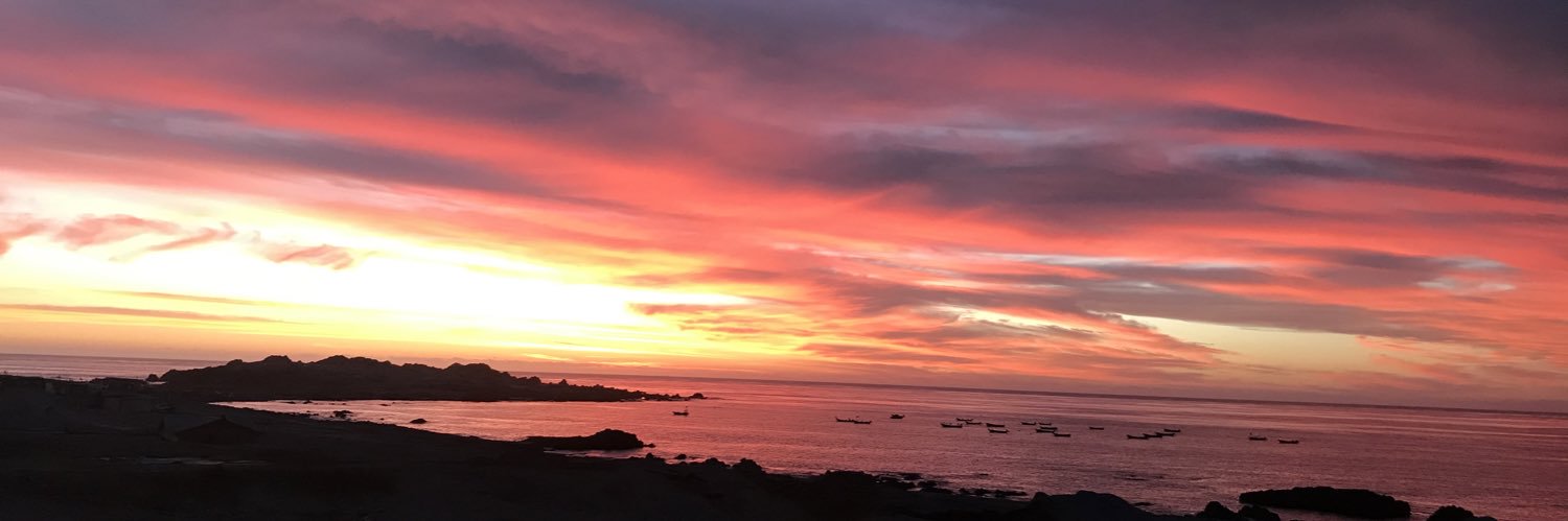 pedro_solar's profile banner image