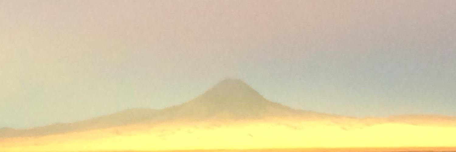 Zach Johannsen banner