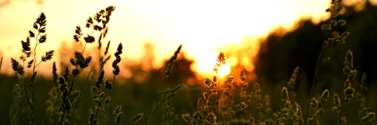 kristanedwards's profile banner image