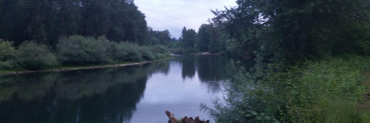 travis_wickline's profile banner image