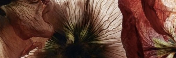 ble555ed's profile banner image