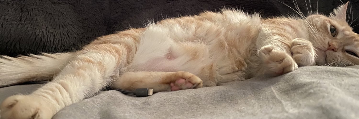 HaleyBennett409's profile banner image