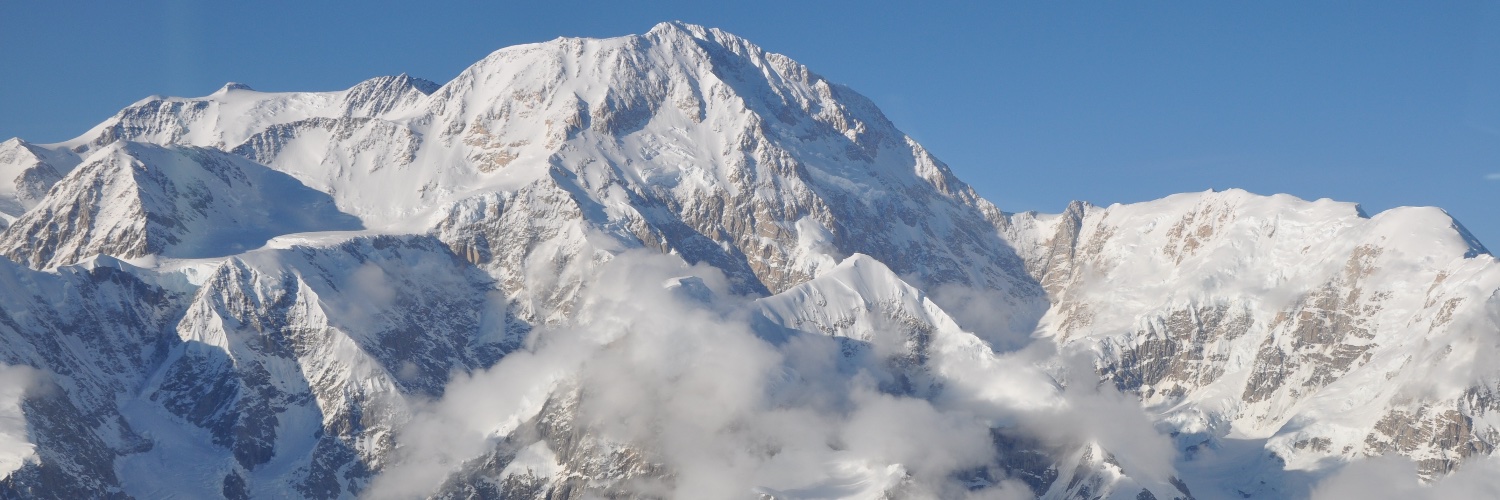 Caroline Block banner