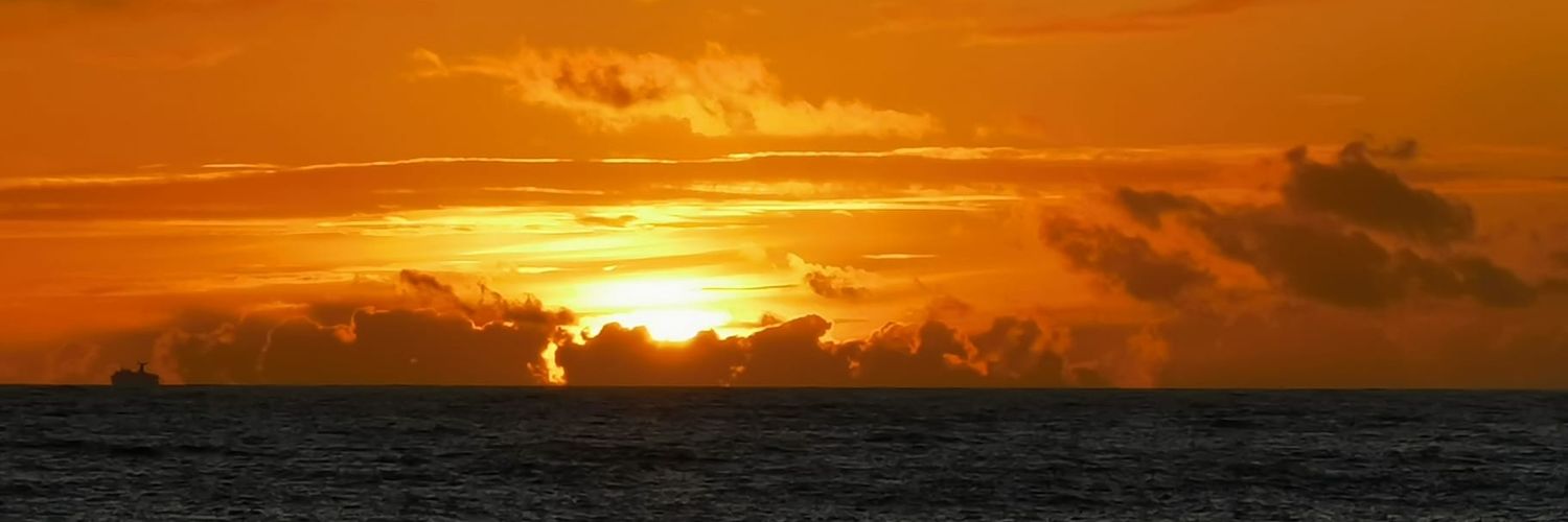 Lidia Bravo banner