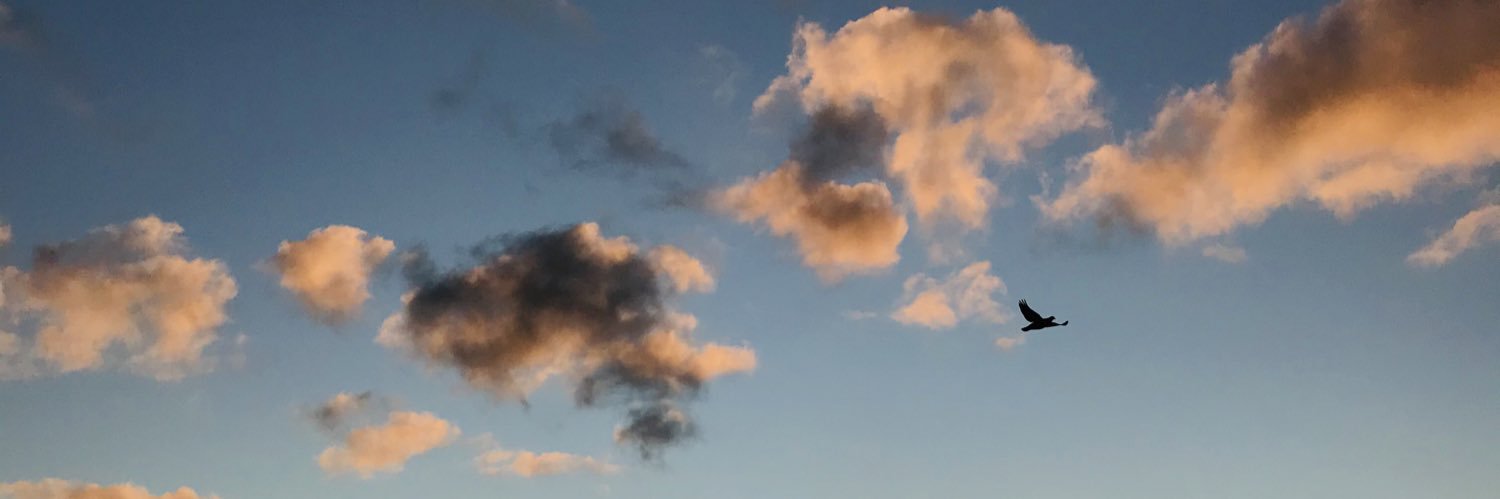 FloAlanis's profile banner image