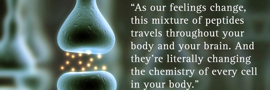 joshuafreedman.bsky.social Joshua Freedman banner