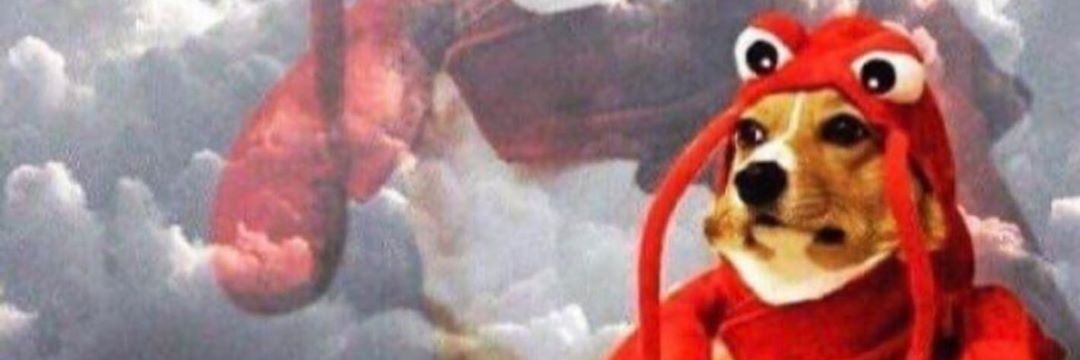 DvdTGro's profile banner image