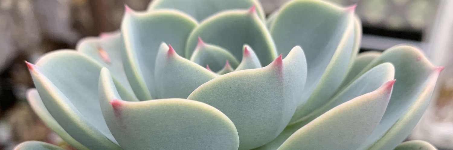 神崎(๑･㉨･๑) banner