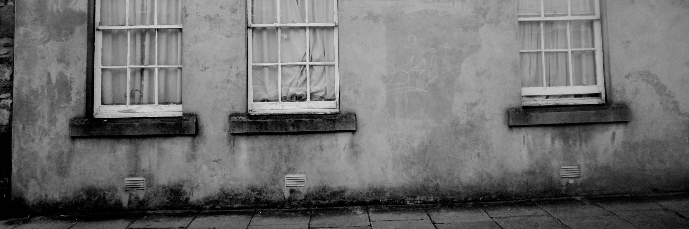 cecybellard's profile banner image