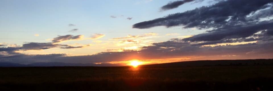 RonaldaTome's profile banner image