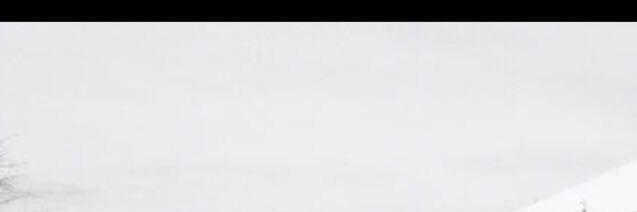 AlexRiley447's profile banner image