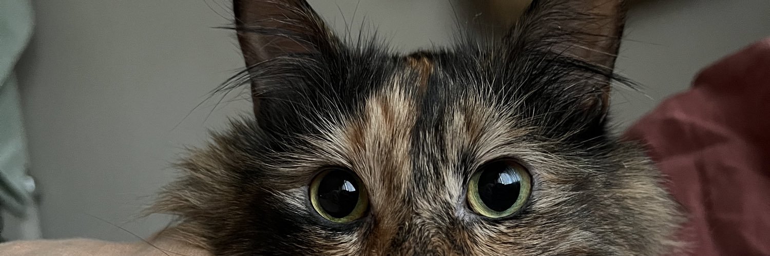 michellerrsss's profile banner image