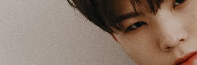 shxdimxri's profile banner image