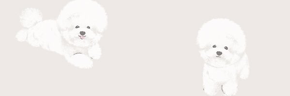 aipppwz's profile banner image