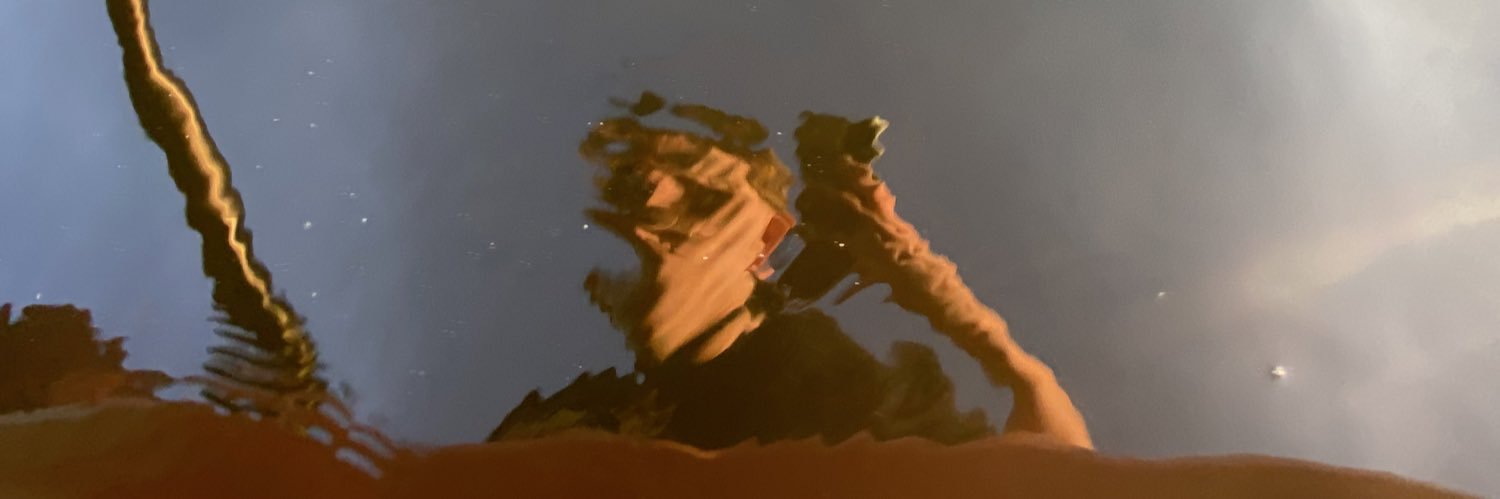 Jules Nymo banner