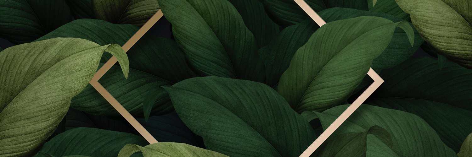 SamboSpice1's profile banner image
