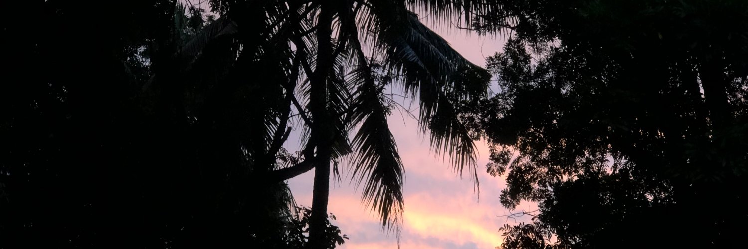 milliesunder's profile banner image