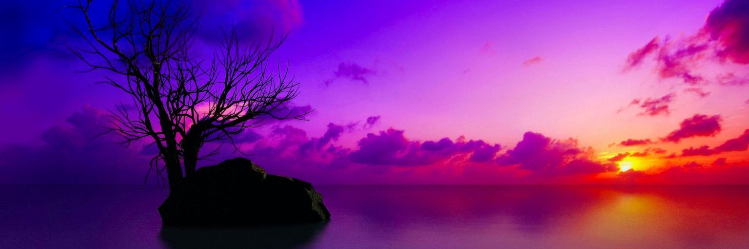 AleKealoha's profile banner image