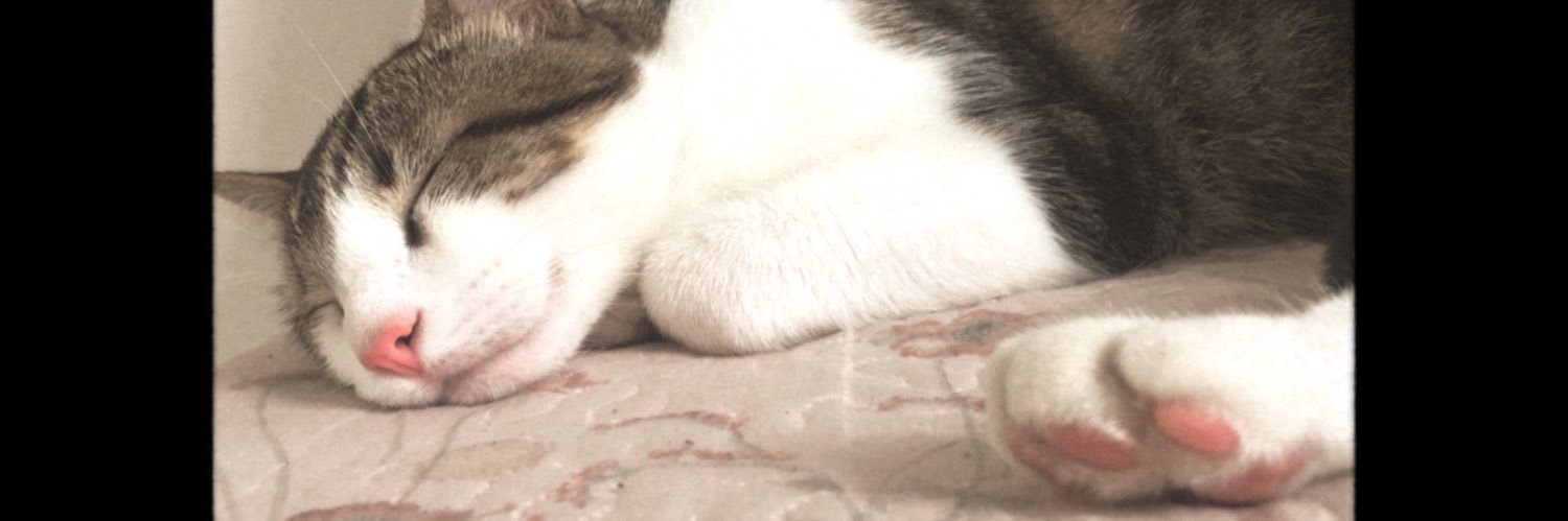 __kkau's profile banner image