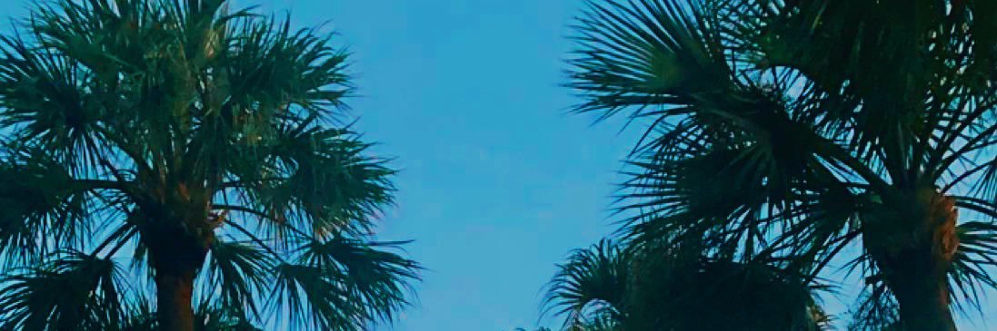 avaaconnorr's profile banner image