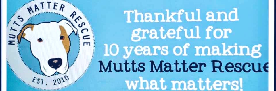 MuttsMatterResc's profile banner image