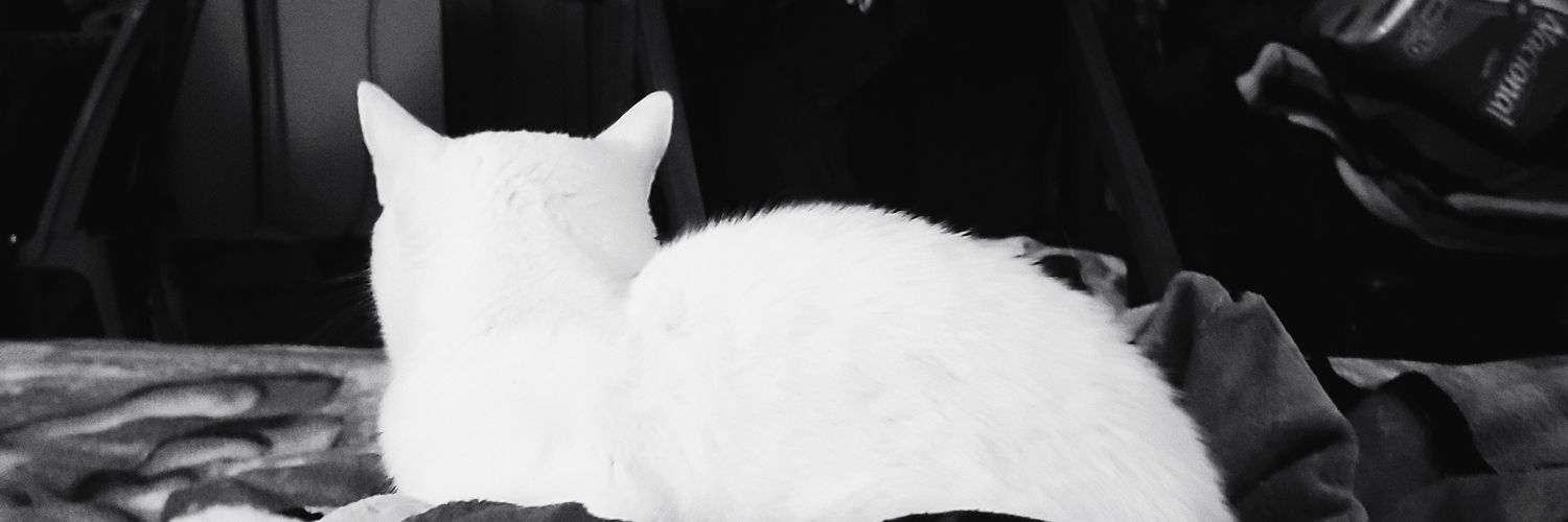 Cicatuaje banner