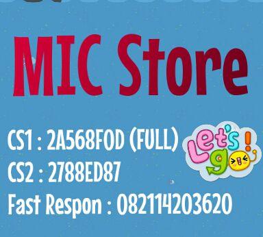 MIC STORE banner