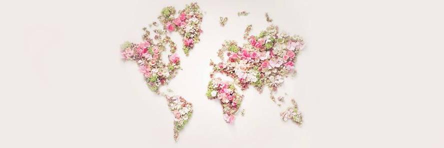 𝓜𝓮𝓲𝓶𝓪 🌸 banner