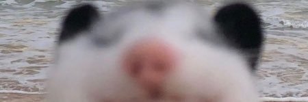 heleolog's profile banner image
