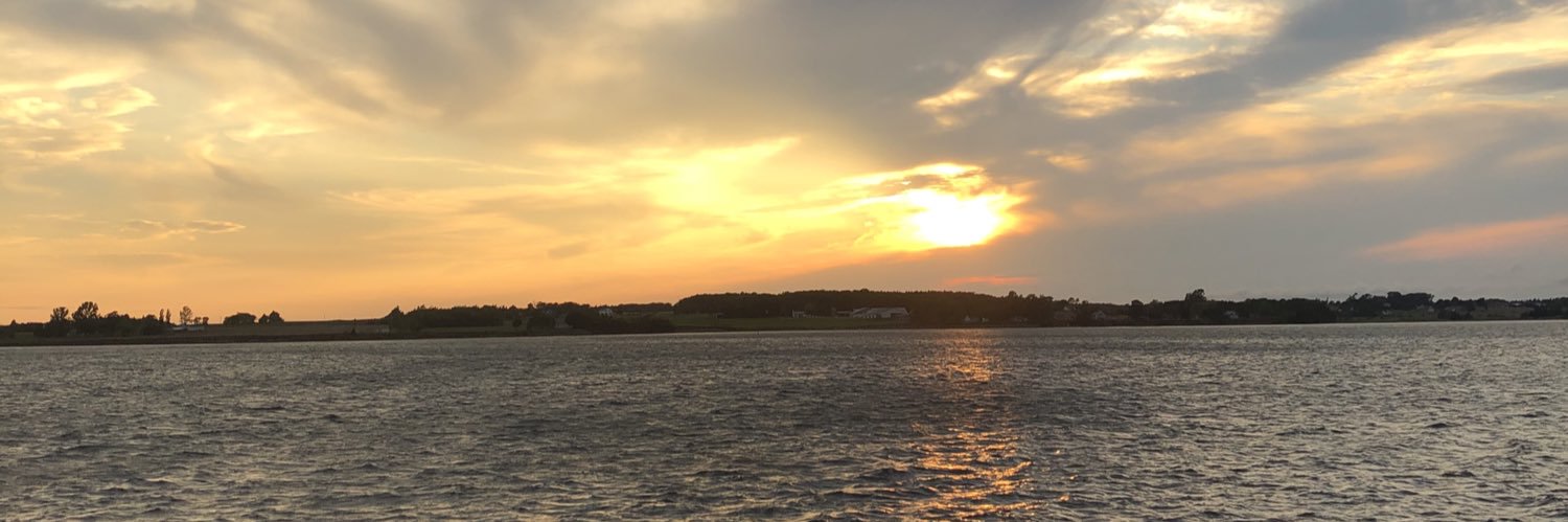 EmStewart17's profile banner image