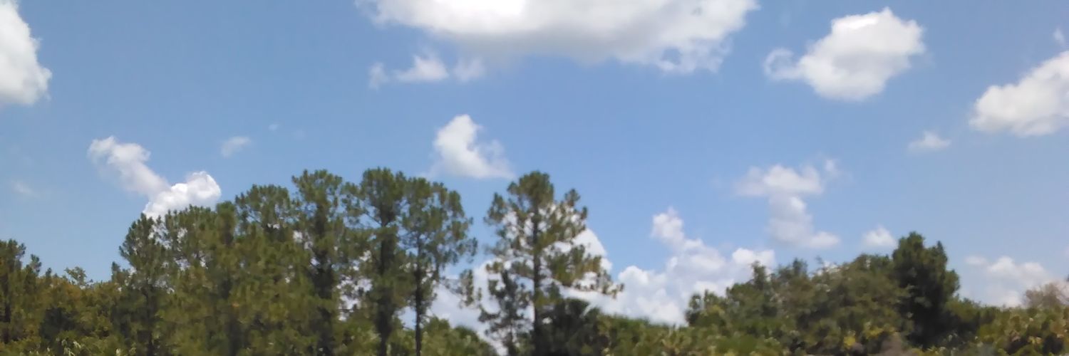 Timaza123's profile banner image
