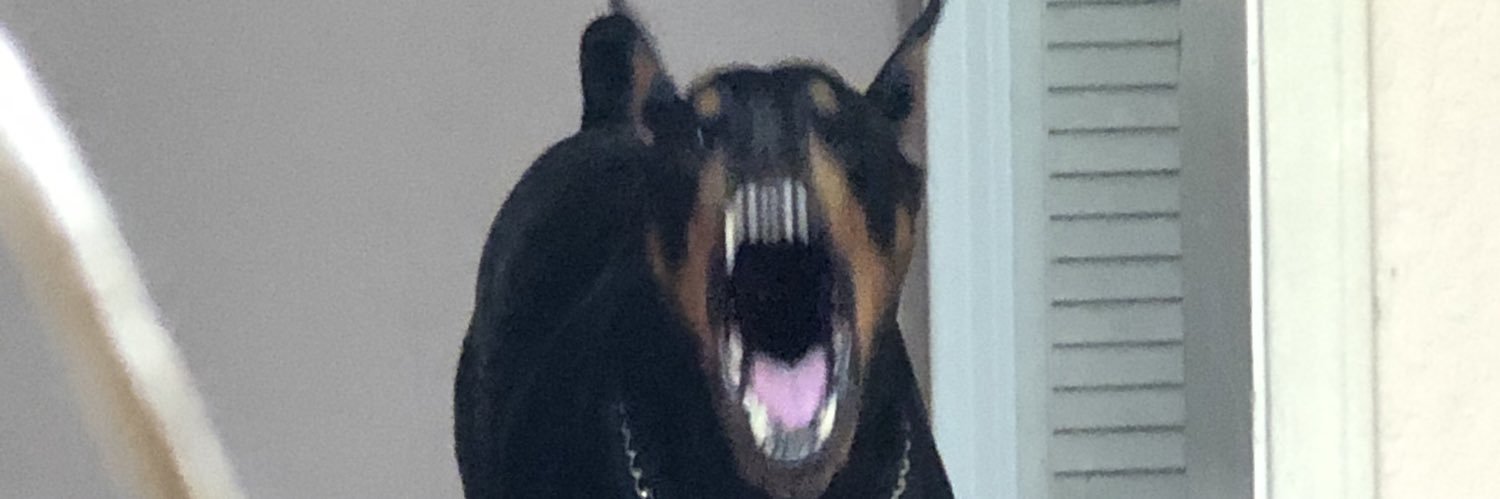 M_Kellly's profile banner image