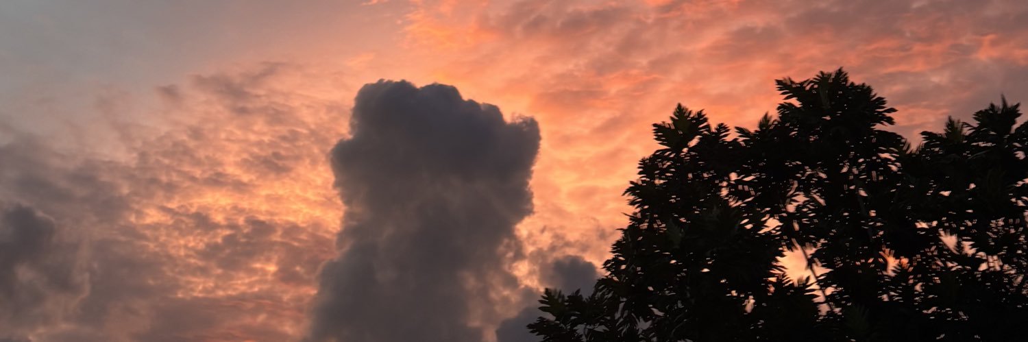 _lexiw's profile banner image
