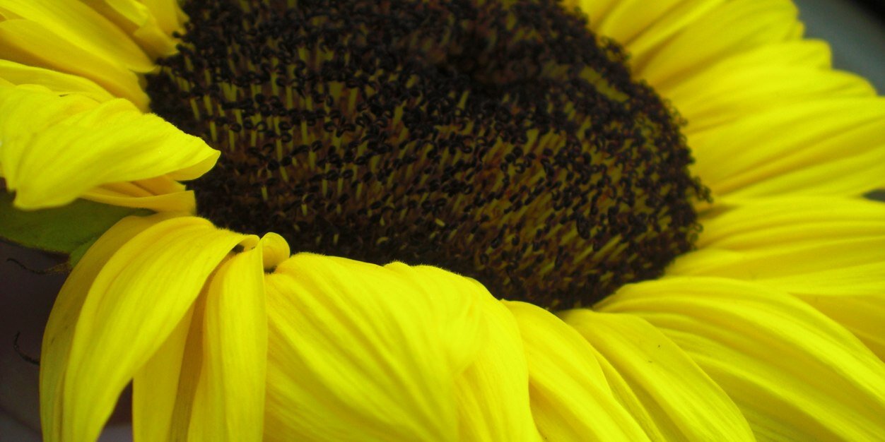 Judiilyn's profile banner image
