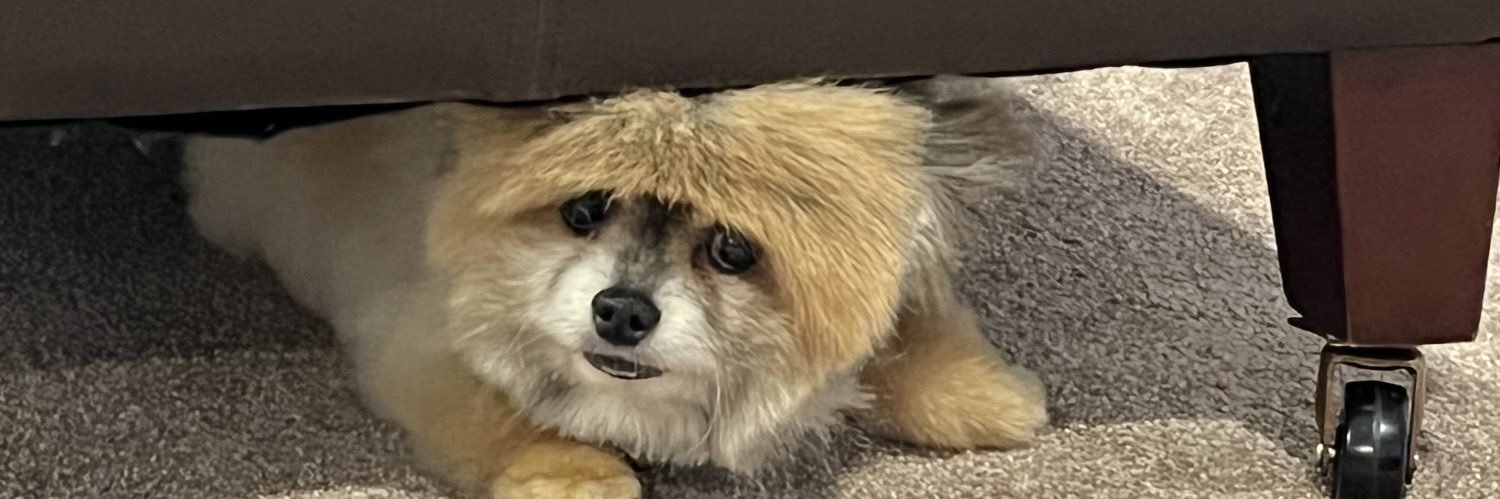 LaBloom11's profile banner image