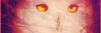 tre banner