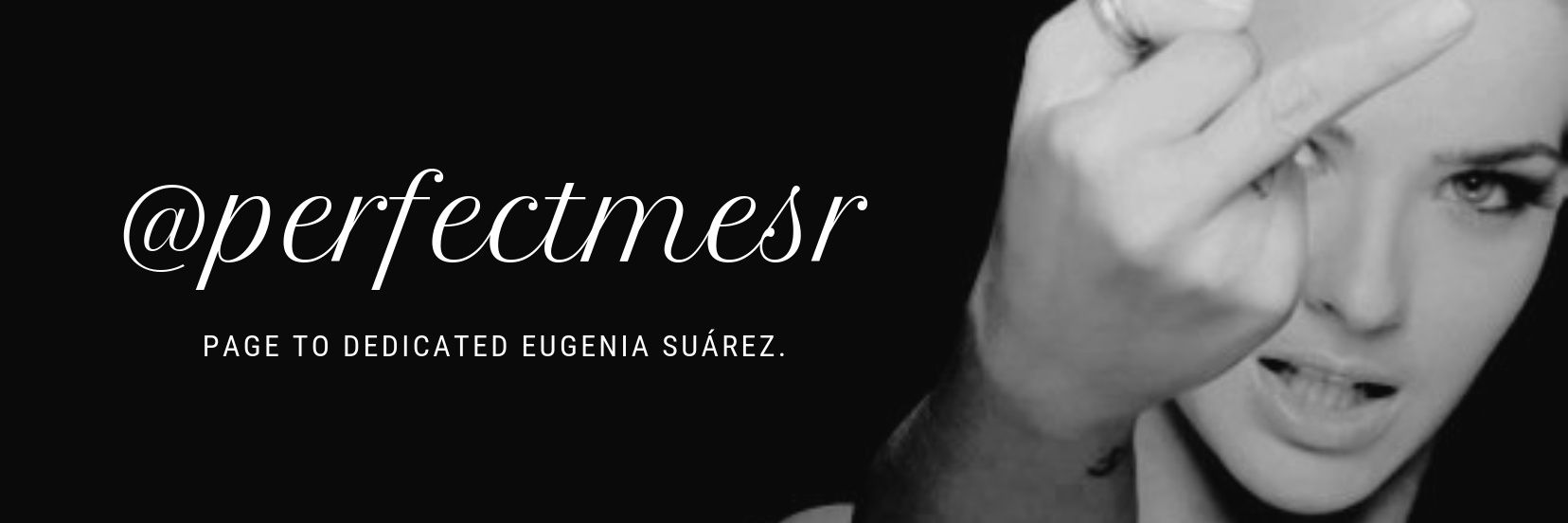 perfectmesr's profile banner image