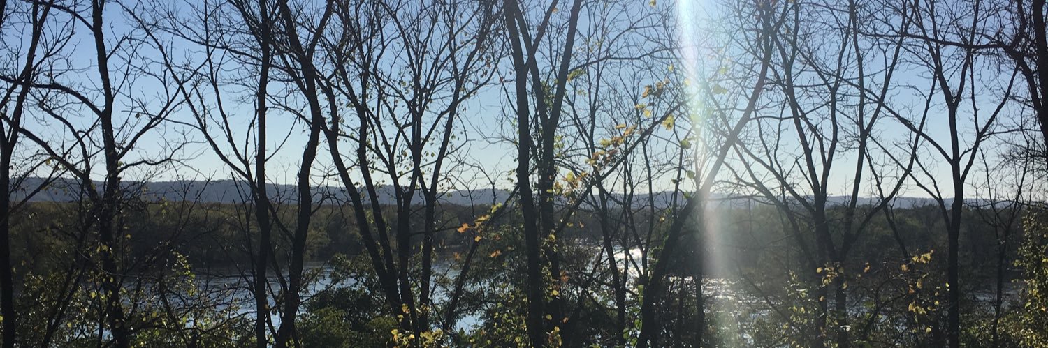 SCColberg's profile banner image
