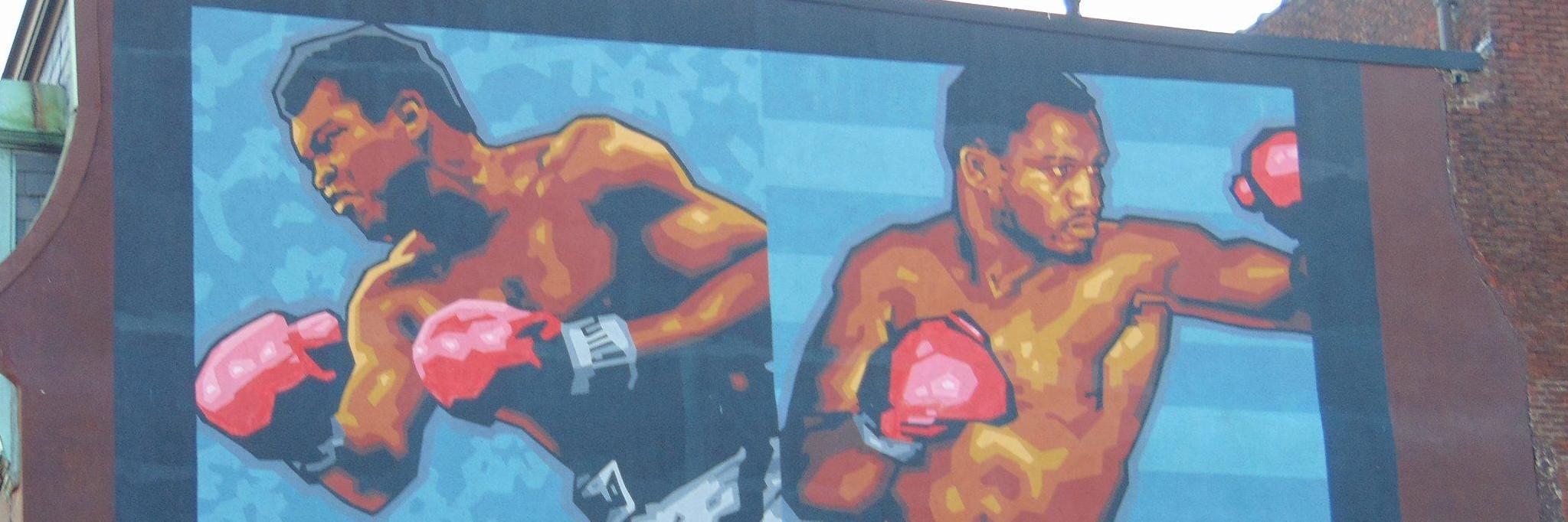 The Boxing Source's banner