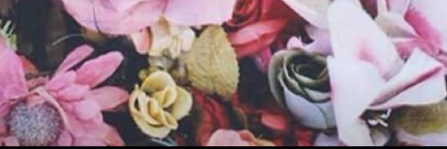 sozicaloka's profile banner image